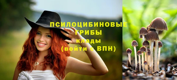 дживик Щигры