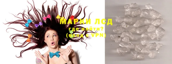 дживик Щигры